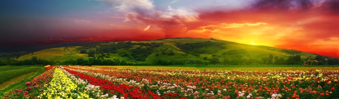 beautiful-mountains-and-flower-valley-landscape-web-header